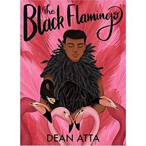 Award Winning Children's Books, The Black Flamingo.jpg