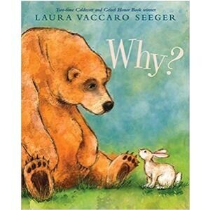 children's-books-about-feelings-why