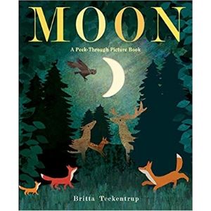 Children's Books About Space, Moon a Peek Through Picture Book.jpg