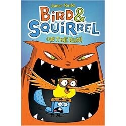 Graphic Novels for Tweens, Bird and Squirrel.jpg