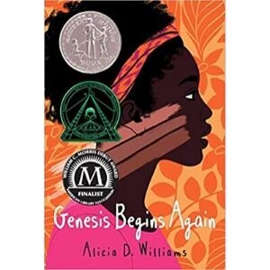 best books for 10 year olds, genesis begins again.jpg