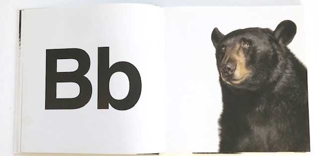 creature abc 2.jpg