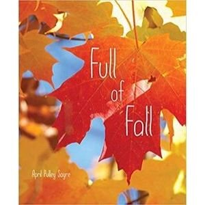 Fall Books for Kids, Full of Fall
