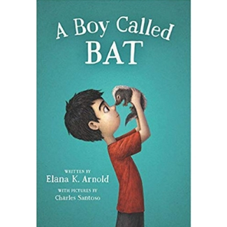 Books for Advanced Readers, second and third grade, A Boy Called bat