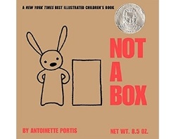 Children's Books About Imagination, Not a Box