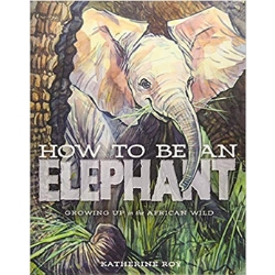 Picture Books About Elephants, How to Be an Elephant