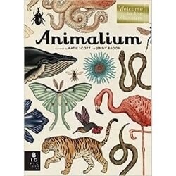 nonfiction animal books, animalium.jpg
