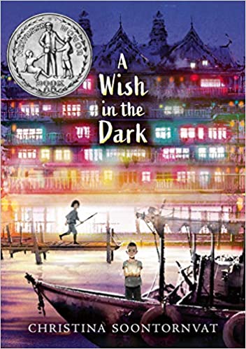 books-for-5th-graders-a-wish-in-the-dark